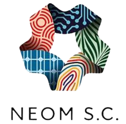 尼奥姆SC首发阵容