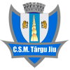 特尔古捷乌首发阵容