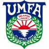 阿费查尔丁首发阵容