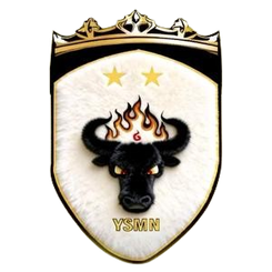 玉树牦牛首发阵容